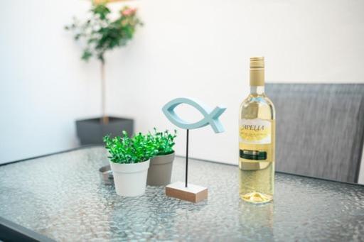 Hidden Paradise Apartment コス・タウン エクステリア 写真